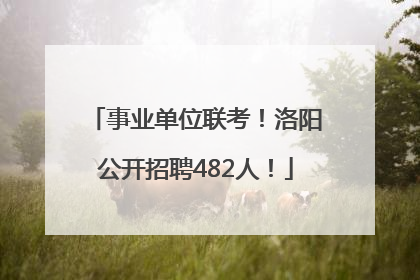 事业单位联考！洛阳公开招聘482人！